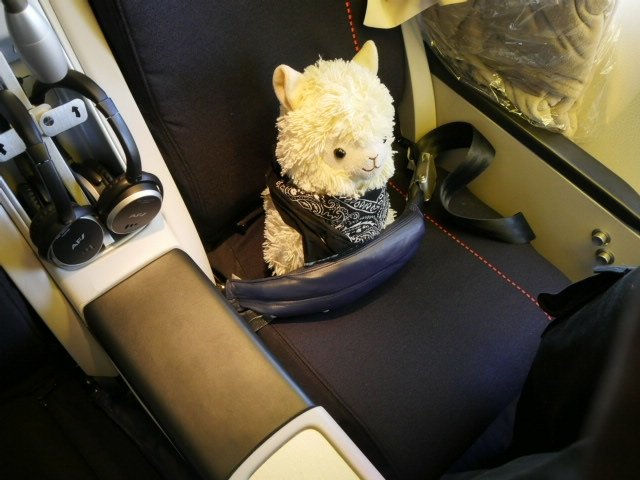 pajowu's tweet photo. "This is your captain @DasKarline speaking. Please fasten your seatbelts and enjoy your flight" https://t.co/M73WrasmeL