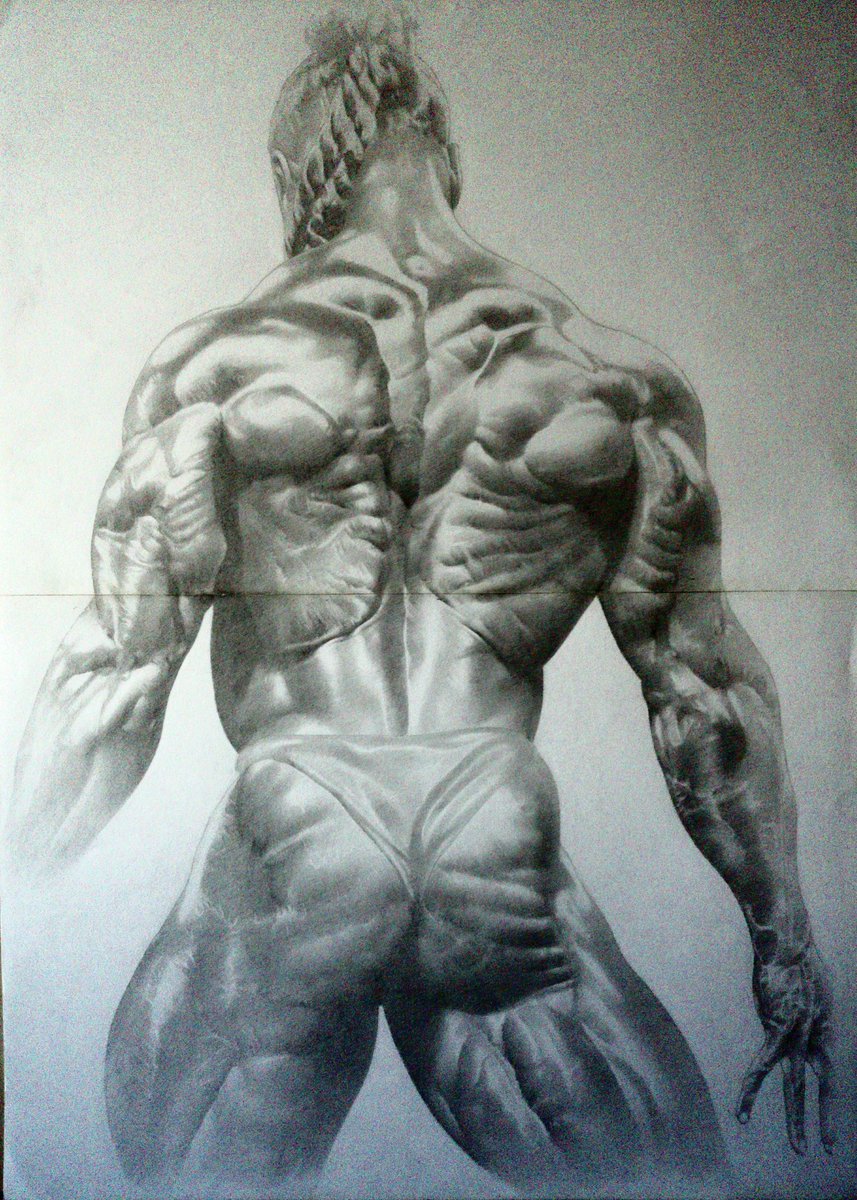 Winky W V Twitter Kai Greene 鉛筆 ダイソー画用紙 13年頃 鉛筆画 デッサン スケッチ 筋肉 ボディビル イラスト Pencildrawing Muscle Bodybuilding Sketch Kaigreene Illustration T Co U8otc0kglz