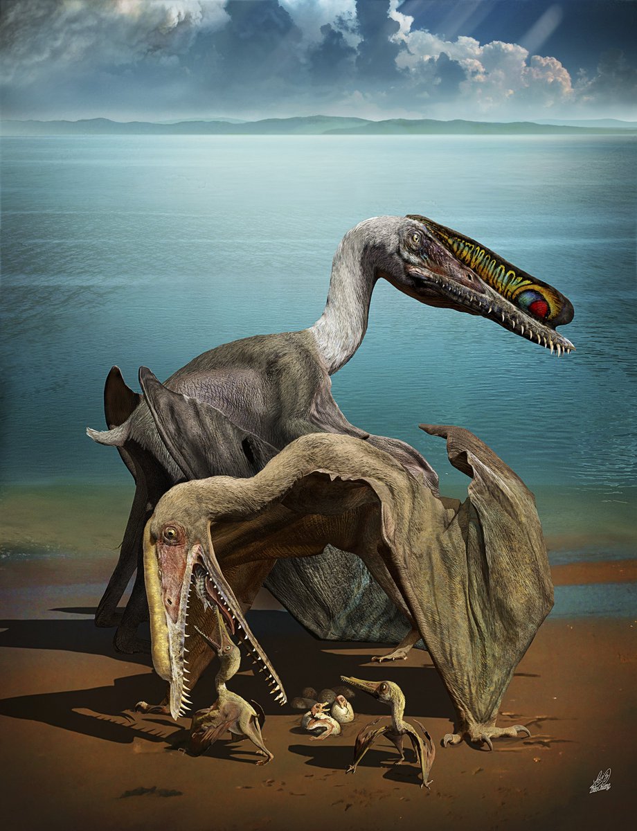 nationalpost's tweet photo. Paleontologists discover the mother lode — 215 miraculously well-preserved pterosaur eggs https://t.co/myrdyYAPMj https://t.co/KXAV9s27lu