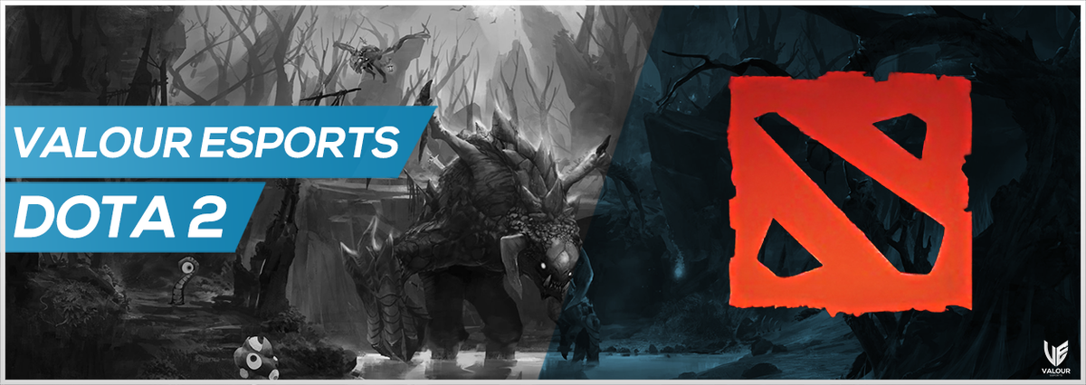 Valour eSports tweet media