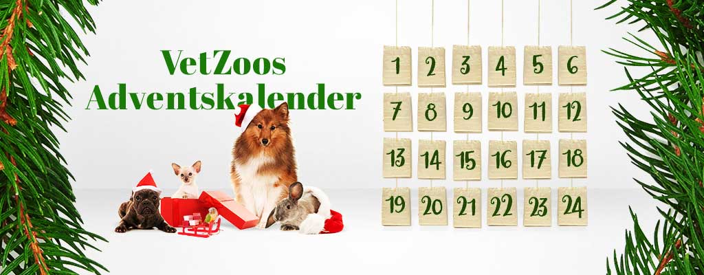 DognewsNews's tweet photo. Premiär för VetZoo’s Adventskalender! https://t.co/f2cAm0TDQj @VetZoo_se #adventskalender #julkalender #hundfoder #hundmat #hundgodis https://t.co/0QDTfDQuZy