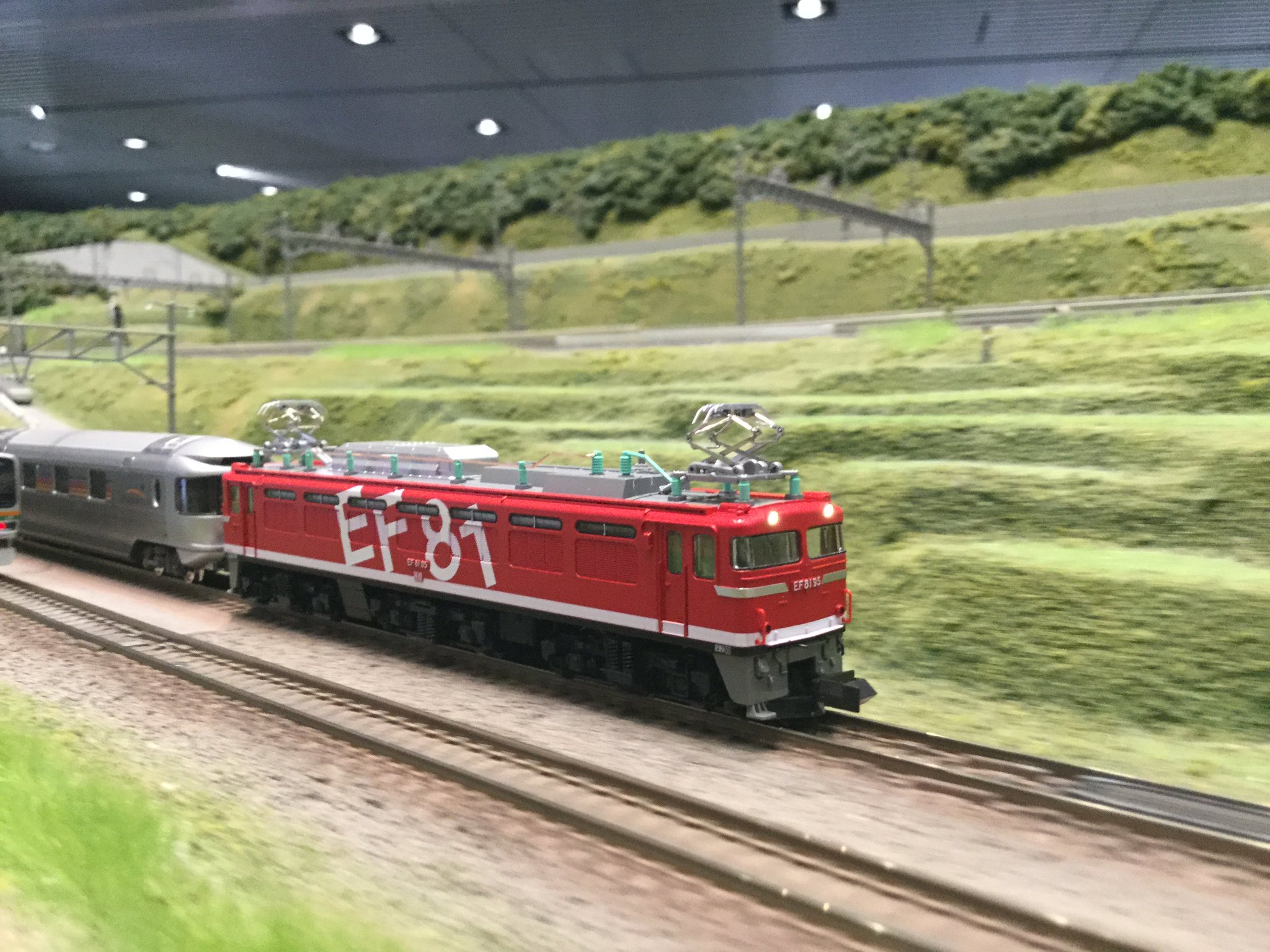 EF81 95 + E26系「カシオペアクルーズ」 特別企画品】 EF81-95＋E26系 「カシオペアクルーズ」 基本