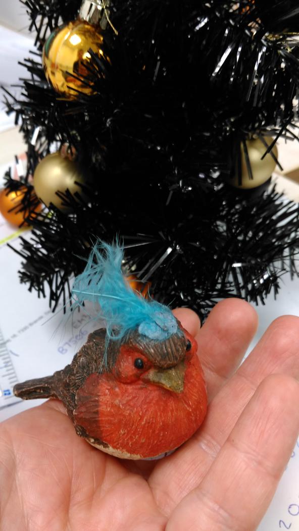 Ste_J_G's tweet photo. @Jimbojones136 it's that time of year again #festivechap https://t.co/FZm6xBKYhq