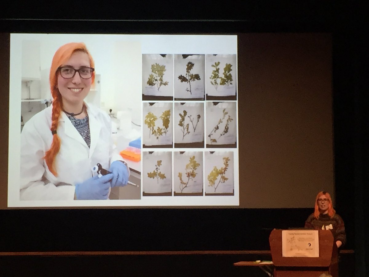 ZiaSca's tweet photo. Botany time at #2017YSF @SystAssn -  Jess Rickenback @TheBotanics on #Savanna #Rainforest #Caatinga cryptic specie Trischidium https://t.co/oWaQIGykoW
