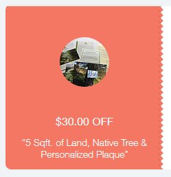 PerfectIreGift's tweet photo. https://t.co/7ijKHo8EUE      

Get $30 off your next Perfect Irish Gift.... Promo code Christmas$30  

#perfectgift #perfectirishgift #ireland #Happy1stofDecember #FridayFeeling https://t.co/TEo7phprUZ
