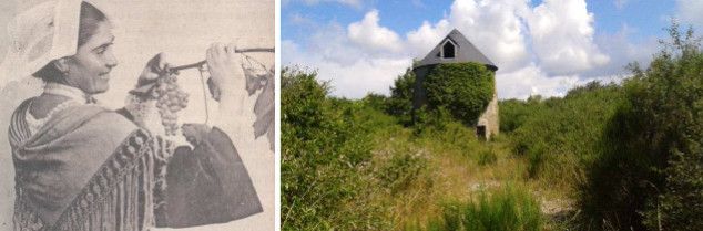 Les3Pinardiers's tweet photo. Devenir #vigneron en #Bretagne, ça vous tente ?
Via @lv_vitisphere
https://t.co/VGbpLP3Whe https://t.co/m5Sy5q0OSC