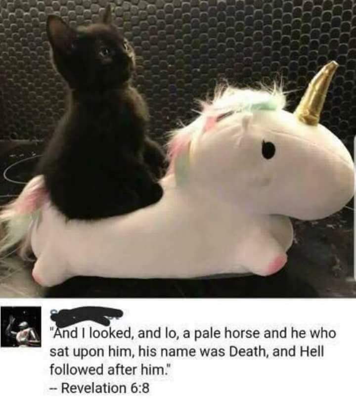 RealIPU's tweet image. 