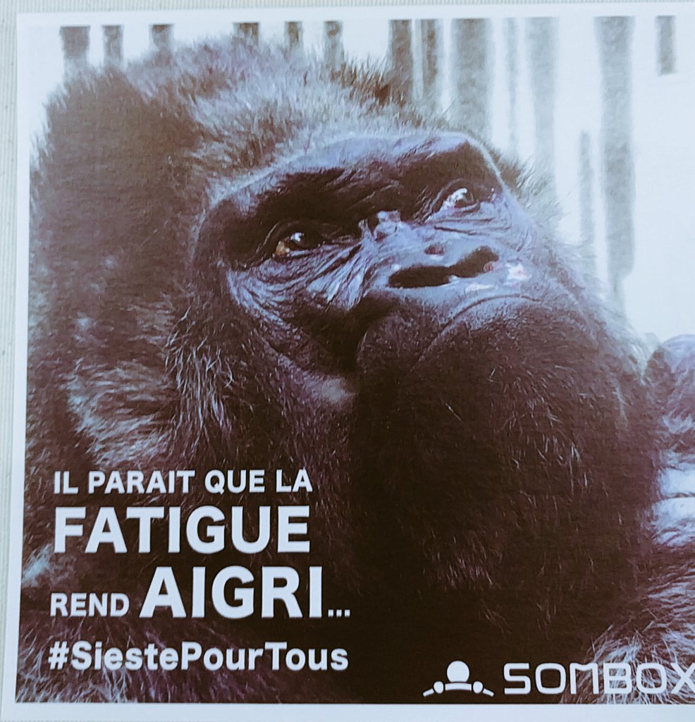 "20 min de sieste par jour augmente de 30% la productivité" <a href="/Sombox_Officiel/">Sombox Officiel</a> #Siestepourtous @normandyFT  #GoogleAvecCaen