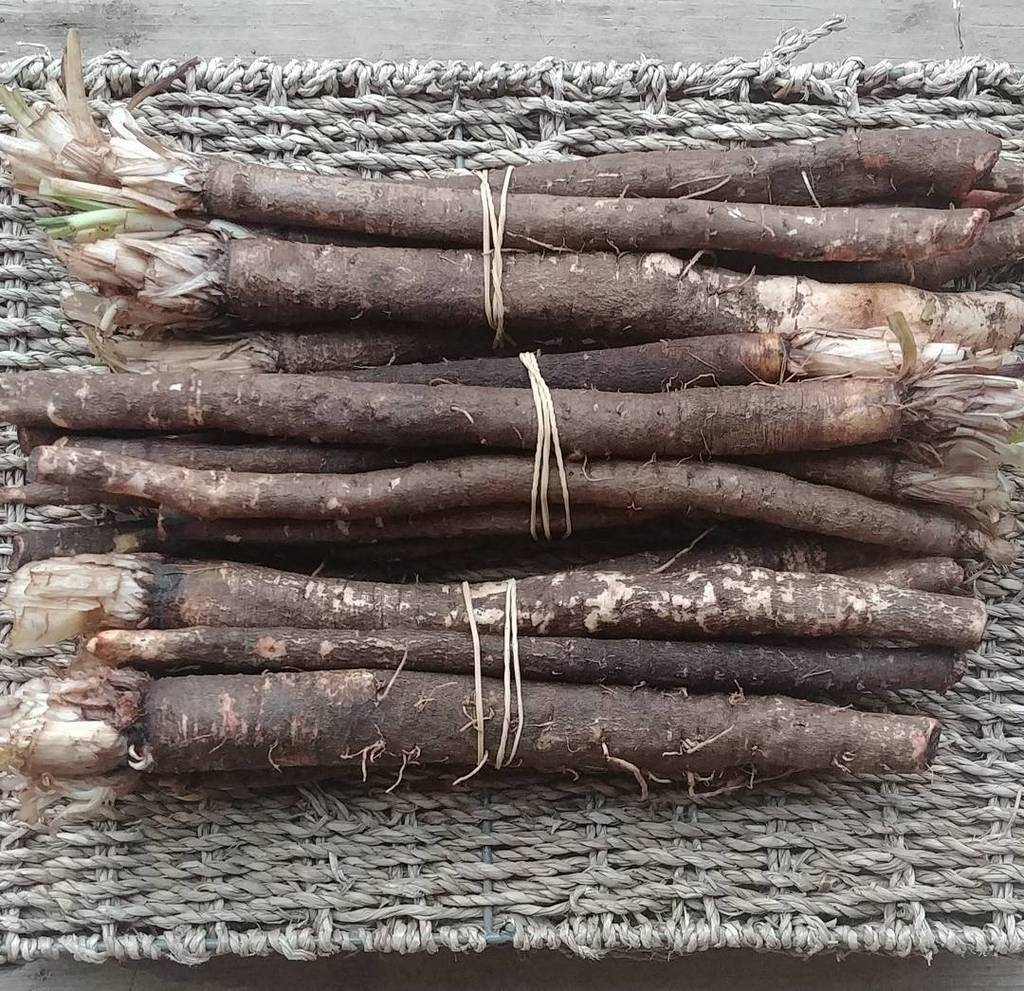 CookstownGreens's tweet photo. BLACK SALSIFY!!!
.
.
start soupin' with this stalky root veg!!! #organic #blacksalsify is has a thick brown skin, creamy colour flesh &amp; rich in "umami" flavours
.
.
Black Salsify can be roasted, boiled, sauteed, mashed &amp; even souped!!! SOUP SOME THIS SEA… https://t.co/McJ9p251YE https://t.co/SMsNUQa6xu