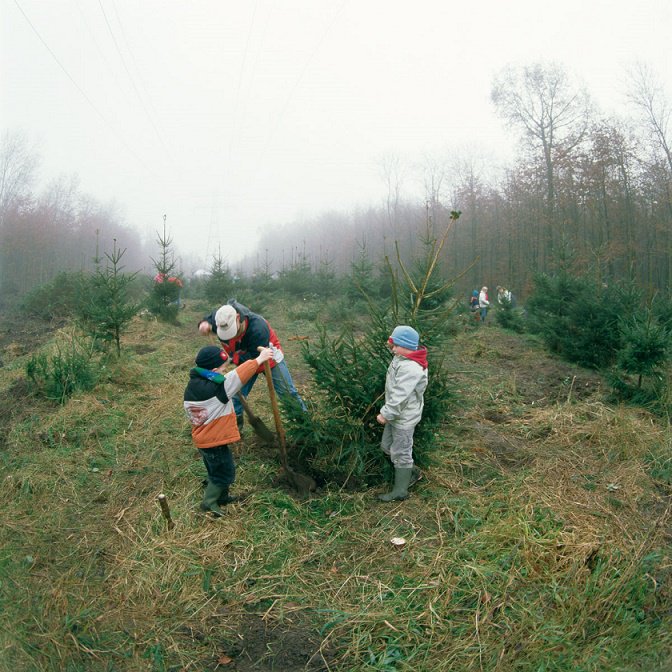 TOP prikborditem: Zaag je eigen kerstboom in het Kuinderbos <a href="/BoswachterHarco/">Harco Bergman</a> - tinyurl.com/ybvctylu
