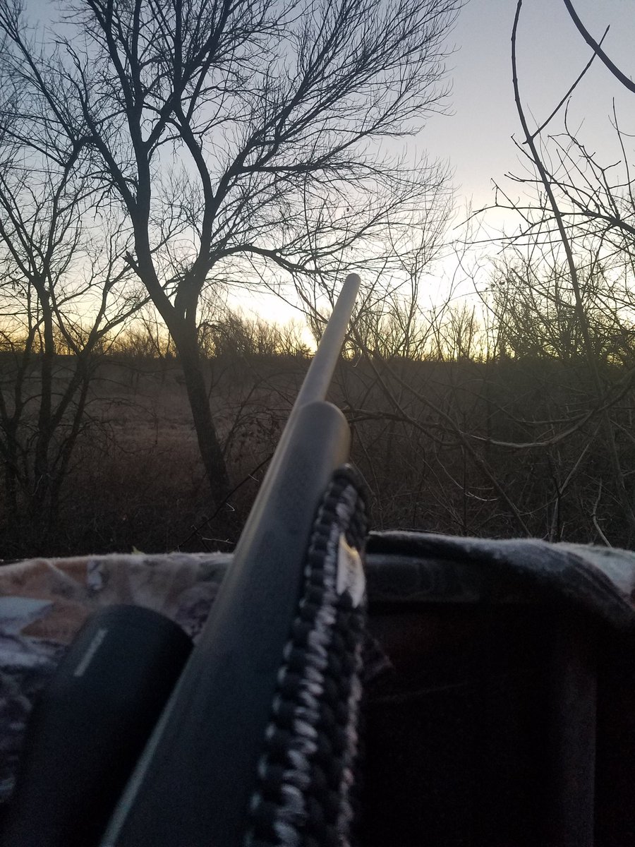 Sun's out guns out! Day 3 of KS gun season. Lots of activity yesterday, including a young buck harassing a doe, still. 

Temps in high 20s overnight. A welcome drop from 60s. Hoping this big ball of fire in the sky gets em up and moving this morning!
