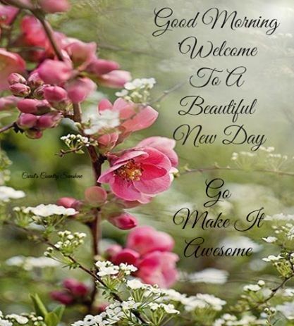m4bush's tweet photo. Good Morning to Everyone, Have a Blessed Day! https://t.co/MJXJEaJxA3