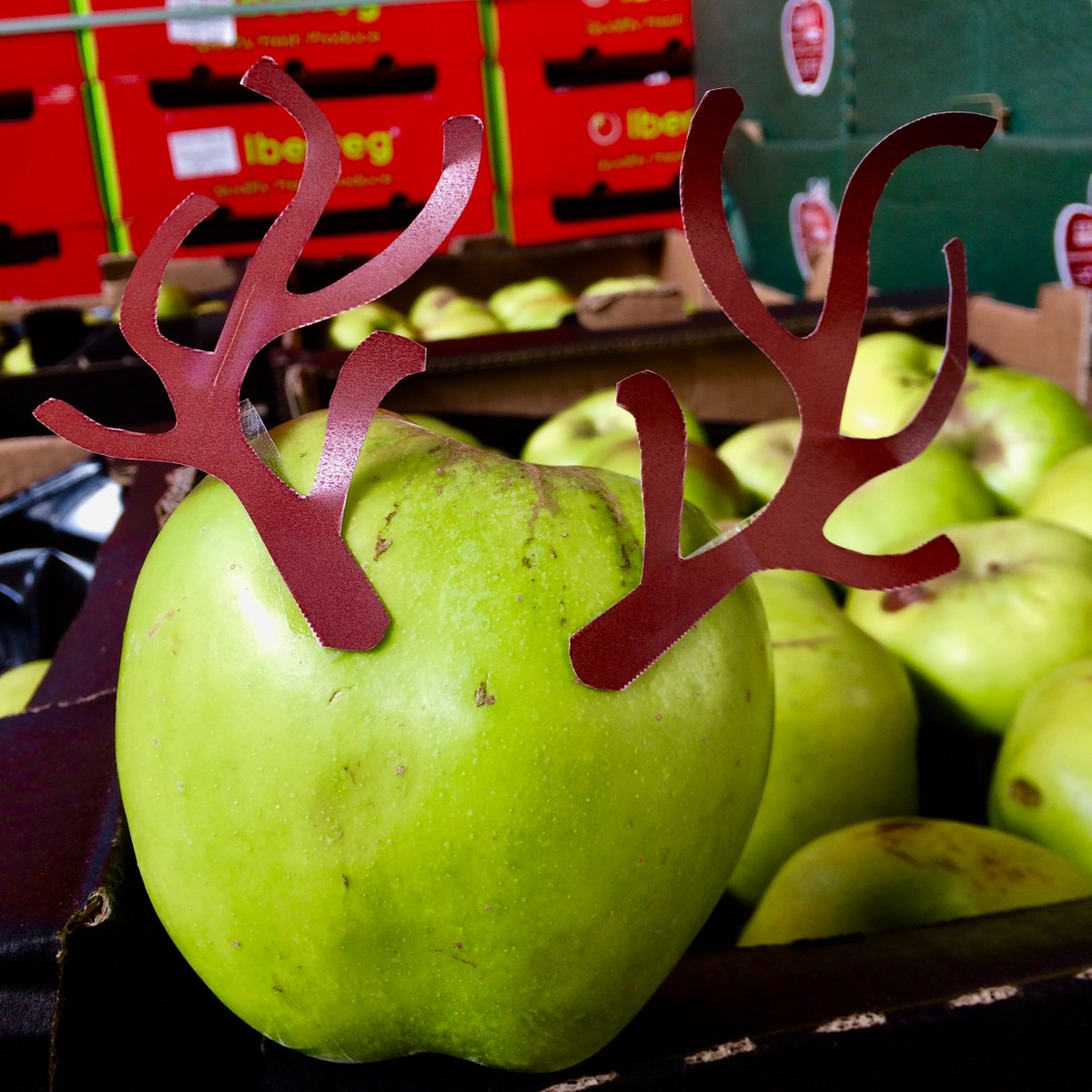 Who doesn't enjoy a bit of baking in these cold winter months? Fill your kitchen with warmth and sweet aroma. Our #bramleyapples are ideal for stewing! Why not try a classic crumble or even just a rich porridge topper? #totalproduce #adventcalender #letsgrowtogether #stewedapples