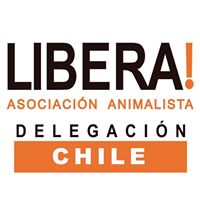LiberaCL's tweet photo. Queremos ver a los animales en su hábitat natural.
👉 Firma ahora para:
- Fin a las carreras de Galgos: https://t.co/l3ETrY5NA8
- Prohibir uso y exhibición de animales en circos: https://t.co/6JS9dCjH8W https://t.co/CL9OWtHyEU