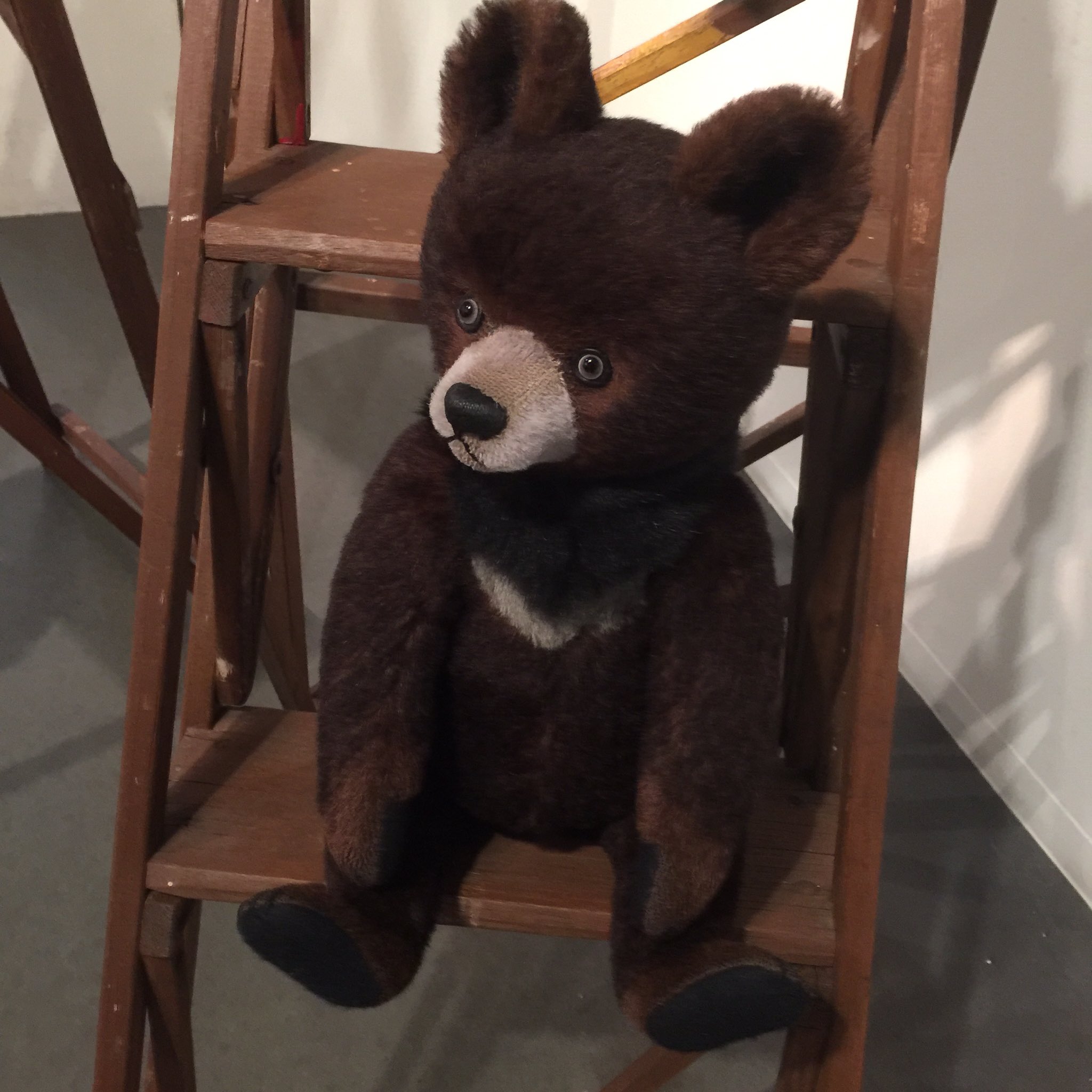 雛菊堂　タチムラシオリ様　ハリネズミちゃん タチムラ シヲリ （gecko) (@niki103) / X