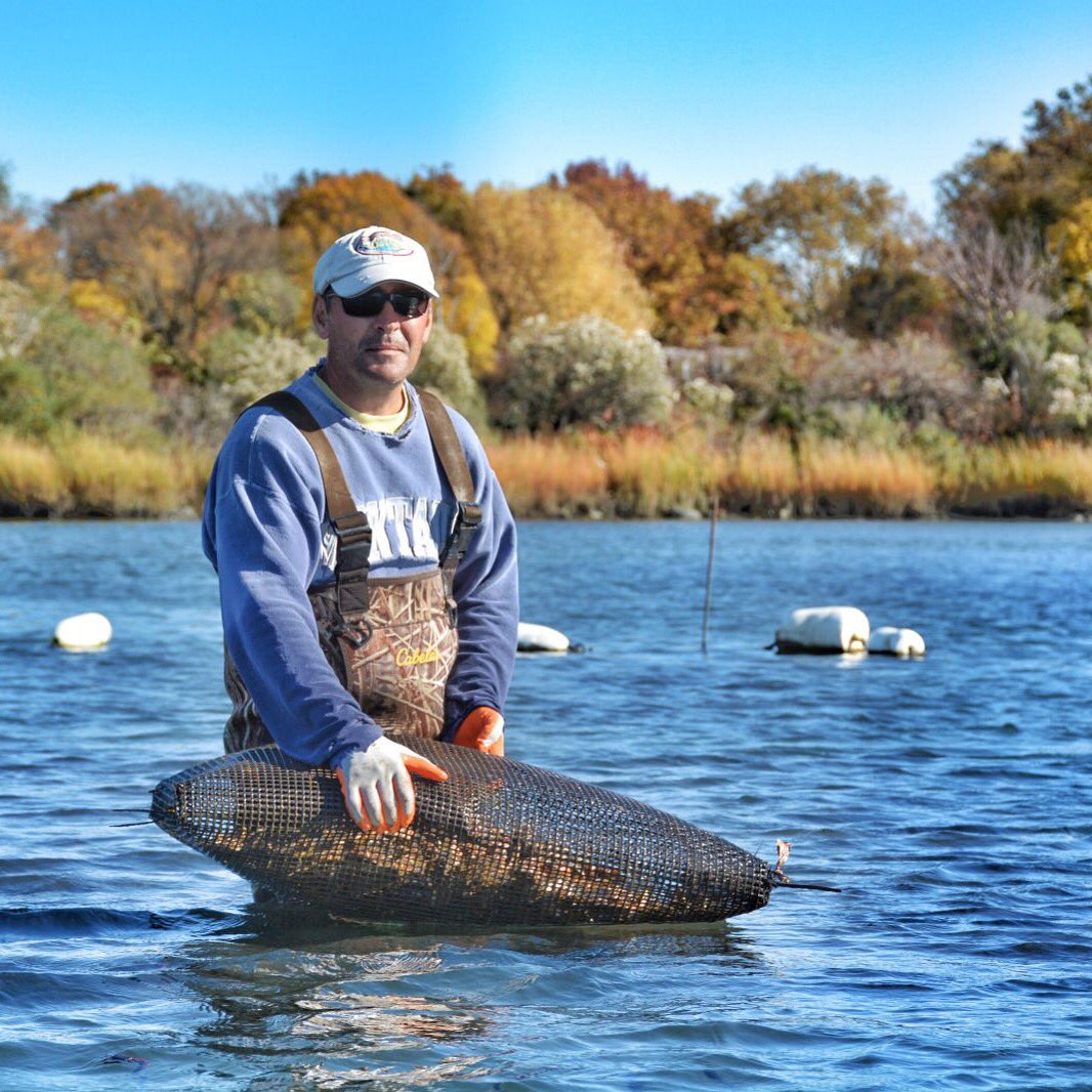 For the 12 DAYS OF OYSTERS this year we'll feature 12 VARIETIES OF OYSTERS that consumers can ORDER DIRECTLY TO THEIR HOMES for the holidays … and beyond. 📦

Stay tuned for the First Day of Oysters post later today.

#theoysterhood #12daysofoysters
#oystersdirect