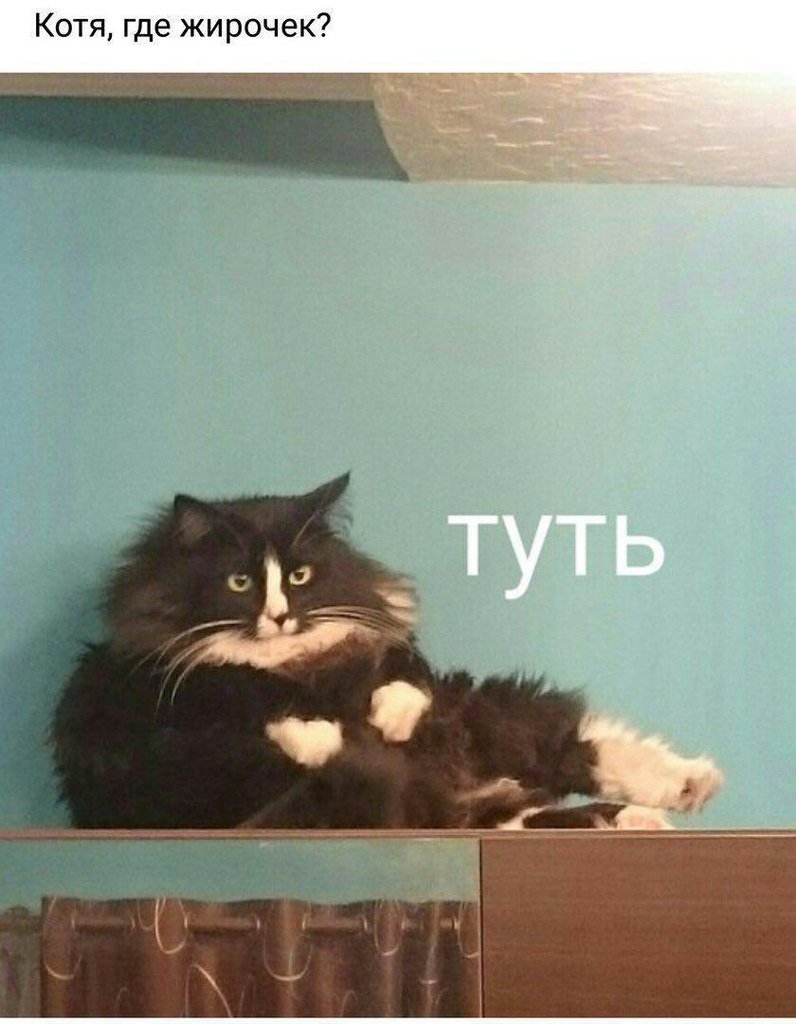 DP9uxugWAAA1QgP.jpg