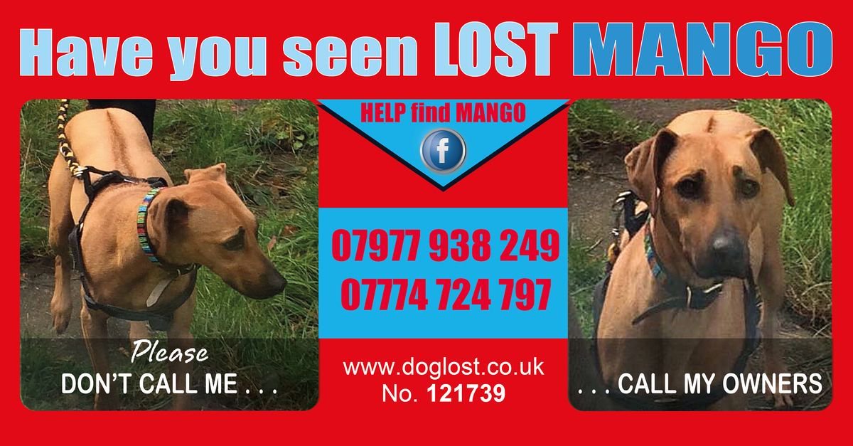 LostDogAlertUK's tweet photo. #FindMango #thunderclap 03/12 #LostDogAlert https://t.co/QhXXNGtokU https://t.co/7Kkrt5wo2L