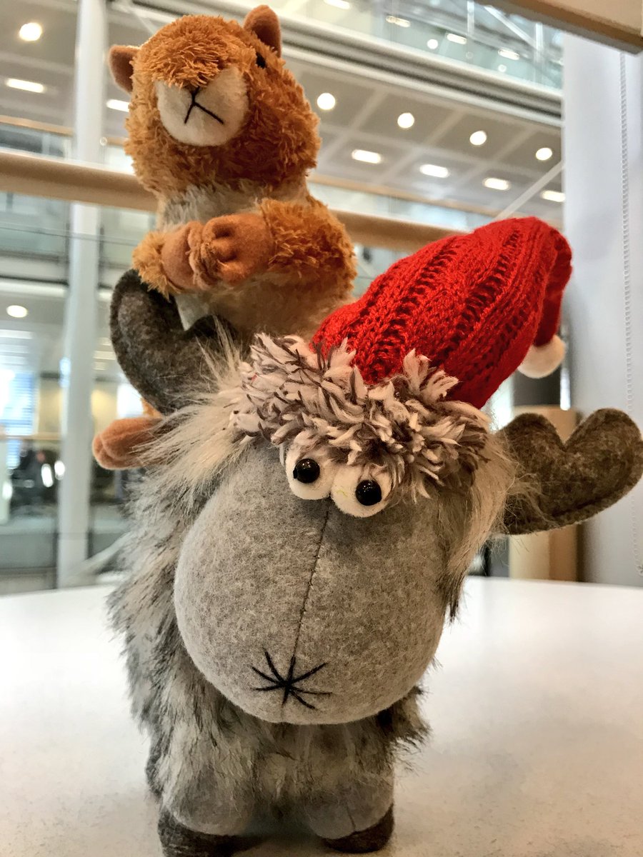 AGMSquirrel tweet media