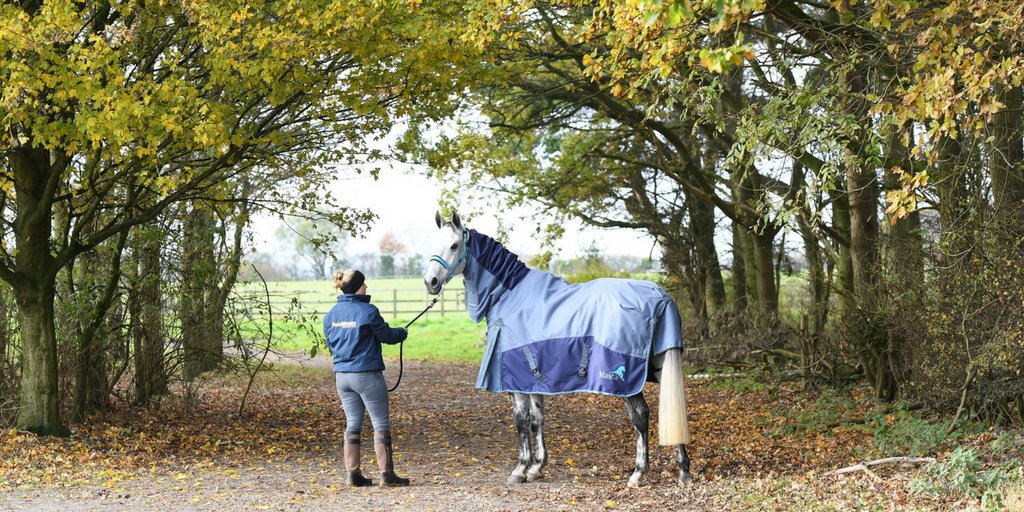 MastaRugs's tweet photo. The clever dome neck takes pressure off the mane and increase air circulation to prevent the hair follicles becoming starved of oxygen! #Fieldmasta https://t.co/eGvuW7h6CA https://t.co/xkEXh7pxfN