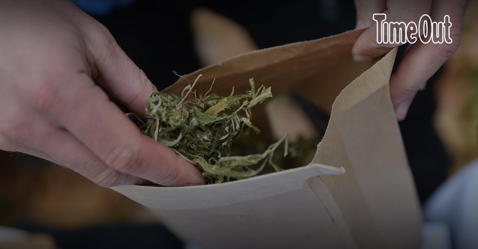 В грузии декриминализировали марихуану через сколько всходит семечко конопли