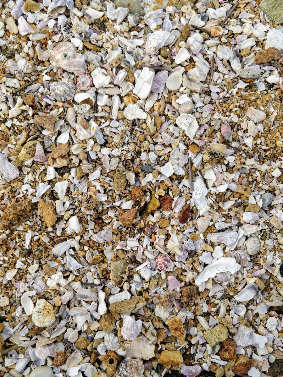 Nadsa's tweet image. #ShotOnOnePlus5 #BeautyOfSriLanka