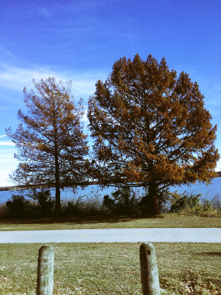 isaacj_h's tweet photo. Found fall yβall #basicpost #texasthings https://t.co/hTt8zOr64N