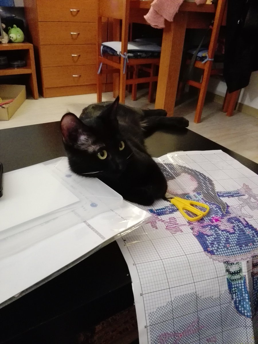 ele_de_eleone's tweet photo. Tarde de punto de cruz con #Vivithecat https://t.co/PLYCm6HNWb
