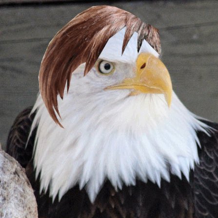 NotWheeler's tweet photo. #NewProfilePic https://t.co/2eGaPIMYQE