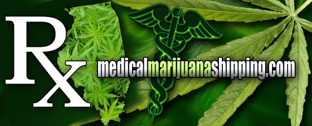 webnamedomains's tweet photo. #medicalmarijuana #shipping #transport #cbd #business #domains #websites #marketing https://t.co/0daaRg2P5D