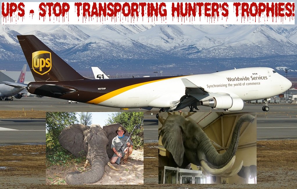 Please Sign &amp; RT: Tell David P. Abney, CEO of <a href="/UPS/">UPS</a> To STOP Transporting Hunter's Trophies NOW!!

If hunters cannot transport their trophies there is NO incentive to kill wildlife!! Please sign at secure.avaaz.org/en/petition/Da…  🐘#BeKindToElephants 🐾@RickyGervais 🐘