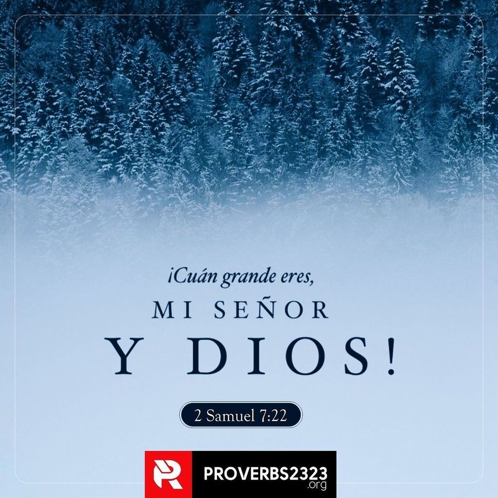 proverb2323's tweet photo. "Por tanto, tú te has engrandecido, Jehová Dios; por cuanto no hay como tú, ni hay Dios fuera de ti, conforme a todo lo que hemos oído con nuestros oídos." 2 SAMUEL 7:22
#samuel #RVR1960 #pr2323 #proverbs2323 #pr #verse #verseoftheday #bible #thebible #… https://t.co/LmB69QXRXH https://t.co/GTqnts54oq