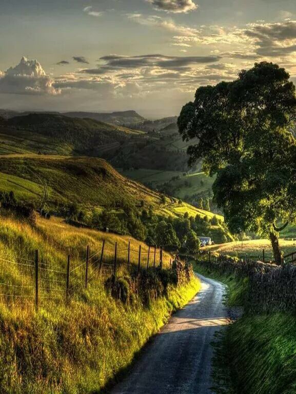 Mutlu Pazarlar ⚓️ bkulup.com