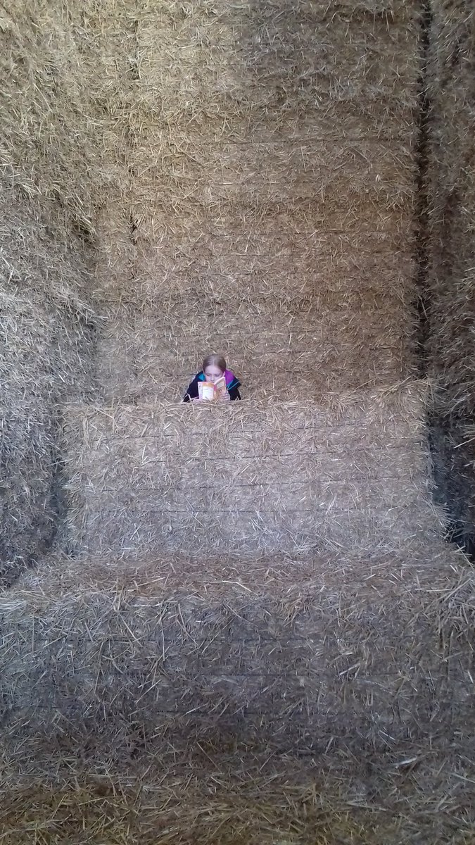 emmahalson32's tweet photo. @EastergateCe #caughtreading #bookweek2017 caught reading on the farm https://t.co/HjjS9prw56