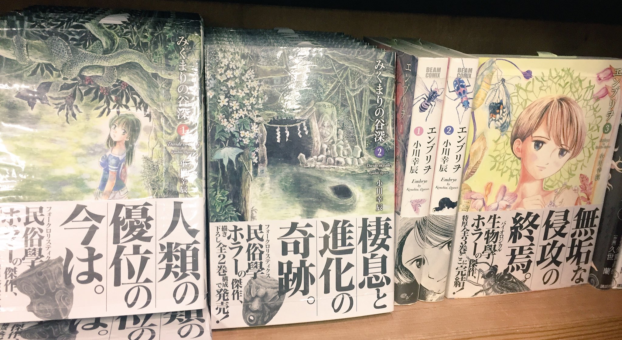 ヴィレッジヴァンガード下北沢 コミック 先日 みくまりの谷深 1 2巻が同時発売された小川幸辰 先生の民俗学ホラーの原点 生物学ホラーな エンブリヲ もvv下北沢にはございますよ T Co Uxdcj2waaj Twitter