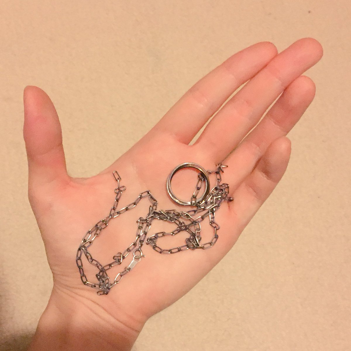 桐沢たえ Twitterissa 今 いつも着けてる蓮のネックレス 自作 秋山蓮への愛を拗らせすぎて作った 外そうとしたら金属疲労か突然チェーンがブッチーーン と切れ 期せずして一人で龍騎51話ラストの再現をしてしまった かなしみ