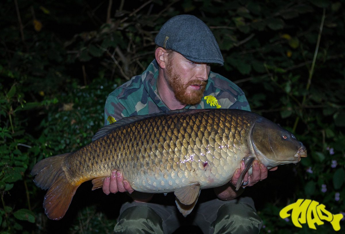 madbaits's tweet photo. Ian Brown with a Mid 20lb common from a Local club water, he used a Wicked White hard hooker and Compulsive Angler pear drop popup snowman over a tightly baited area using approx 50 wicked white freebies. #madbaits #teammad #compulsiveanglerrange #PureMadness #wickedwhites https://t.co/mhZQccN80A