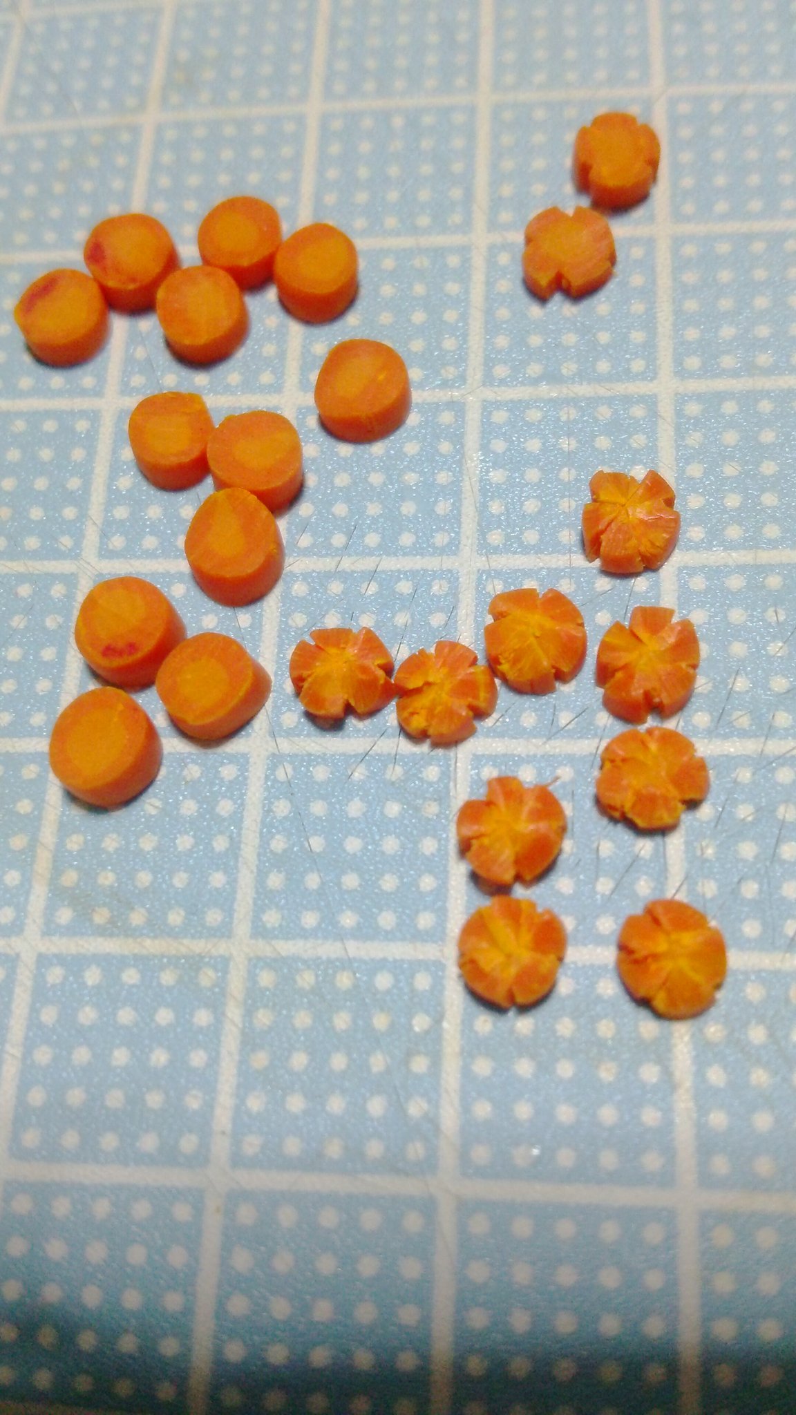 酒の肴ちゃん ๑ ڡ ๑ O 酒 Sur Twitter この間の輪切り人参 花形の飾り切りにしてみました なかなか進まなくて まだまだかかりそう 休みながらの作業だからだけど 花びら4枚しかなくなったり 失敗続出で いつになったら作り終えるかなぁ フェイクフード