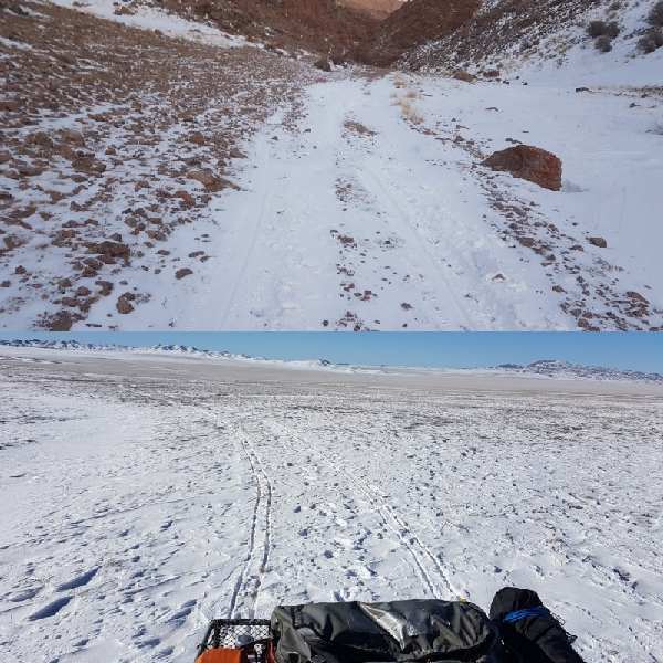 Newall Hunter tweet media