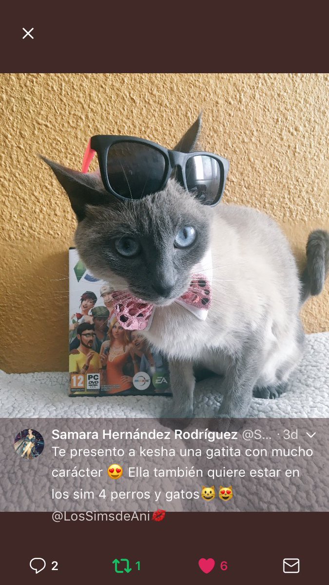 LosSimsdeAni's tweet photo. Tras mucho pensar y ver mil veces vuestras fotos! Esta gatita con su pose y su atuendo me ha ganado el corazón 💕 Así que la ganadora de la Los Sims 4 perros y gatos es @SamaraHernnde21 👏🏼👏🏼👏🏼 enhorabuena! 😘 https://t.co/rGNEaJAI0x