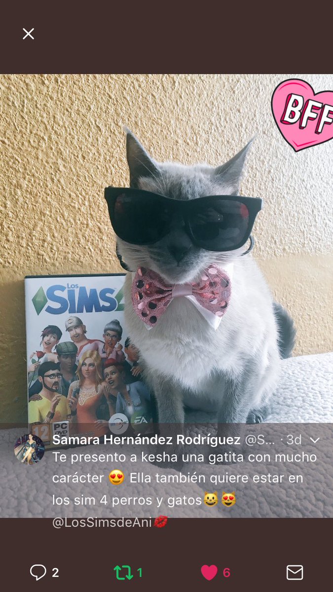 LosSimsdeAni's tweet photo. Tras mucho pensar y ver mil veces vuestras fotos! Esta gatita con su pose y su atuendo me ha ganado el corazón 💕 Así que la ganadora de la Los Sims 4 perros y gatos es @SamaraHernnde21 👏🏼👏🏼👏🏼 enhorabuena! 😘 https://t.co/rGNEaJAI0x