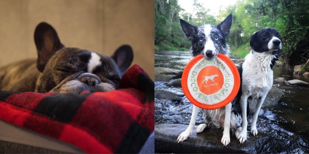 There are two types of people on a Sunday. Are you the "nest &amp; nuzzle" or the "explore &amp; discover" type?
