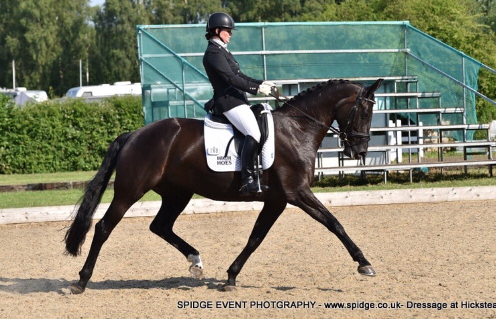 inspiredressage's tweet photo. At the Winter Regionals I'll be doing 8 tests in 6 classes on 3 different horses, at levels from Novice to Intermediare I 😬#247dressage https://t.co/VcxfvE6C3q