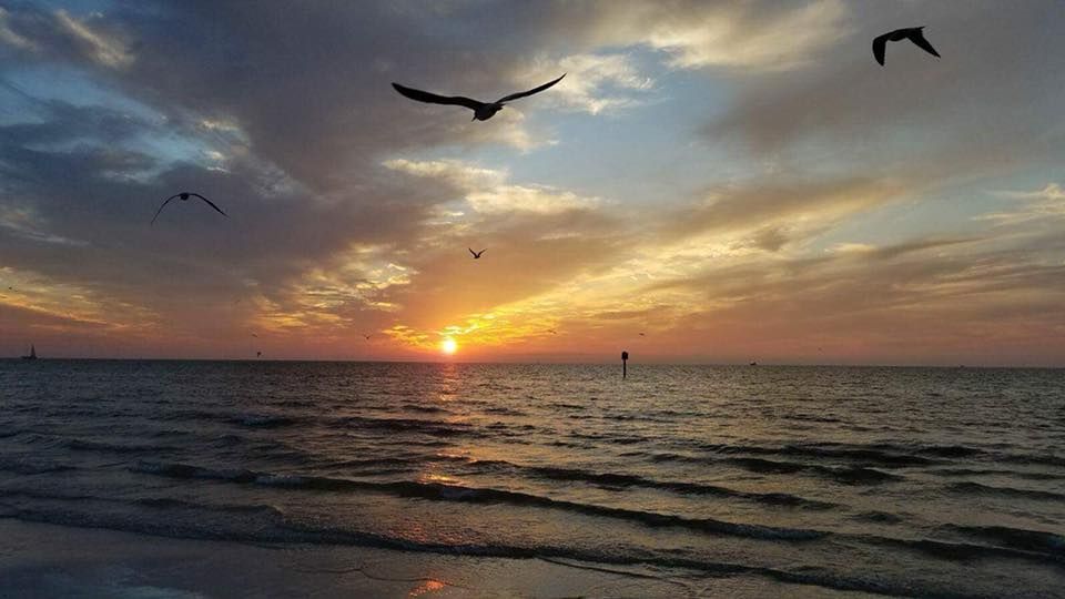 TropixBeachBar's tweet photo. It's not too hot, it's not too cold (albeit a little breezy), but conditions are just right for #QualityTime on #ClearwaterBeach! #ChelloDuo brings their best to our little slice of paradise this afternoon at 3:00! #32ozrumrunners #localmusic #sunsationalsunsets https://t.co/8hIllk7wsg