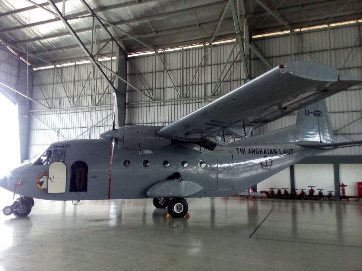 Teman saya beruntung bisa terbang bersama Marinir dan menyaksikan dari udara mereka terjun 
#HUTMarinir