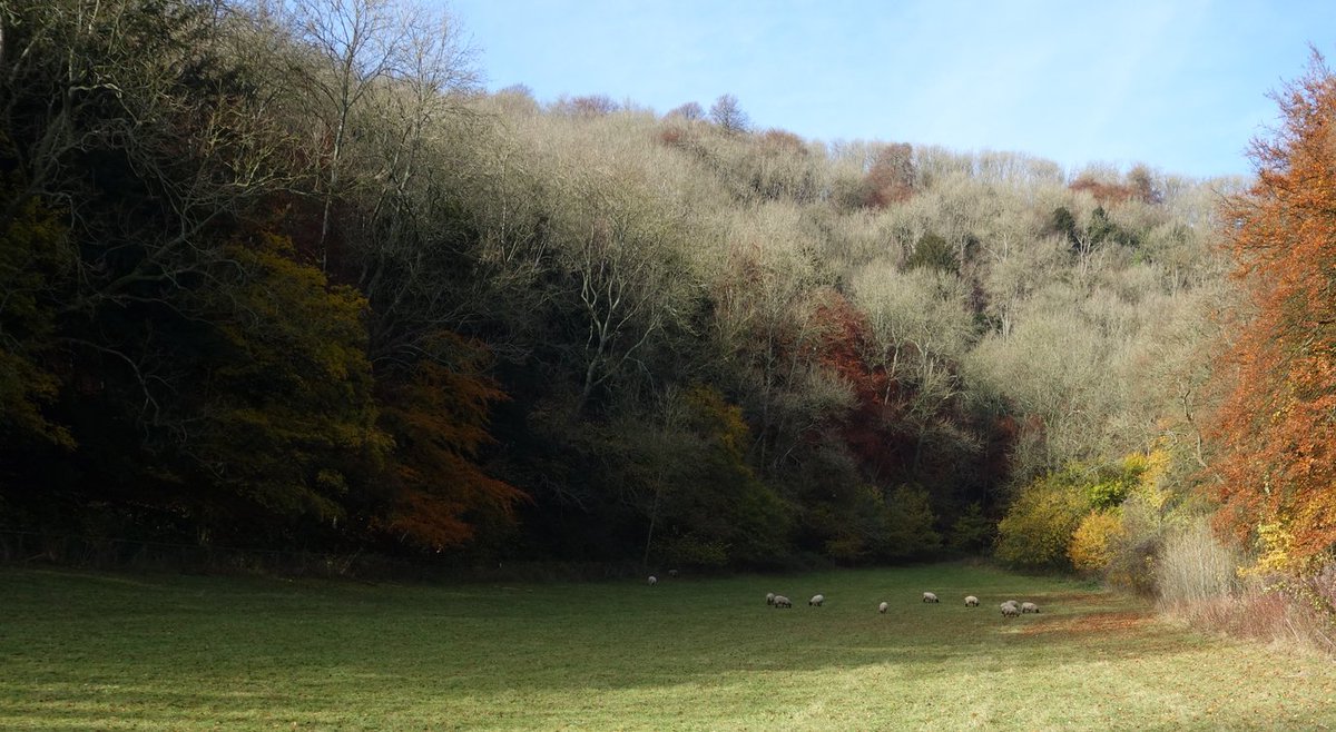 PeterCruttenden's tweet photo. Jack's Meadow - Volunteer Work morning in Steep https://t.co/TuVMygyvK1