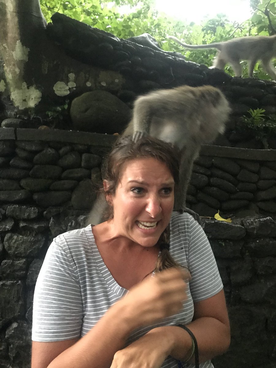 JaclynFrilund's tweet photo. @kaitlynbristowe On a brighter note.. this is my friend with a monkey today in Bali https://t.co/rTcSV5cLq4