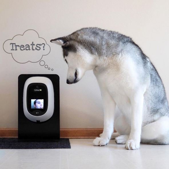 PetChatz's tweet photo. You can read my mind.
#dogtreatcamera #twowayvideo #petcamera
via Instagram/2Huskeers https://t.co/3P2dcgIRZG