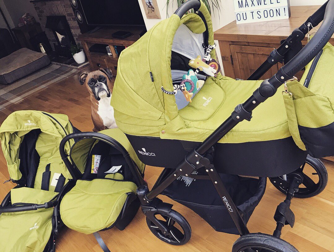 venicci yellow pram