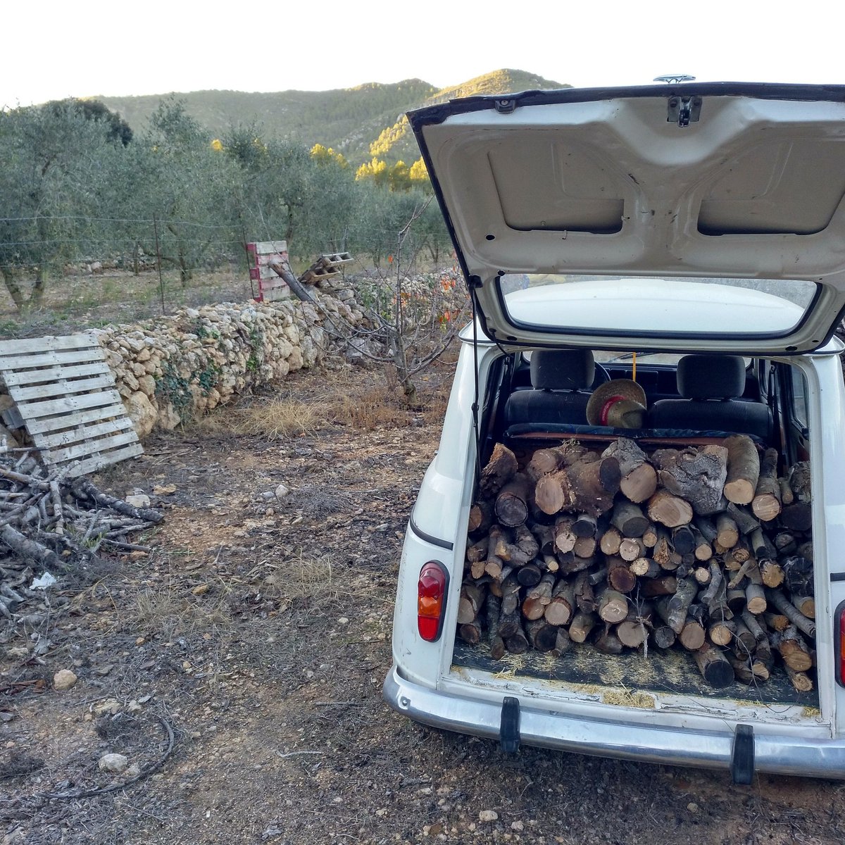 saladiesergi's tweet photo. #RuralStyle #R4power https://t.co/gPmY21i3cQ